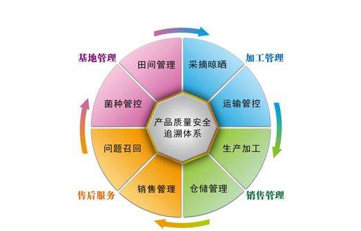 產(chǎn)品追溯系統(tǒng) 主流開發(fā)商與技術(shù)創(chuàng)新路徑